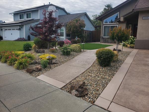 New Look Landscape Inc