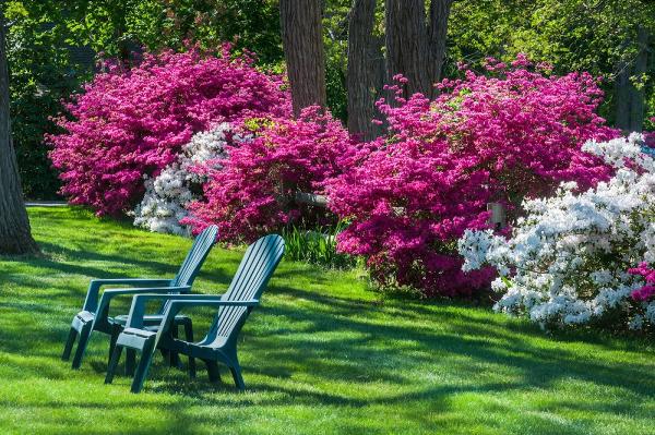 Rebollo Landscaping