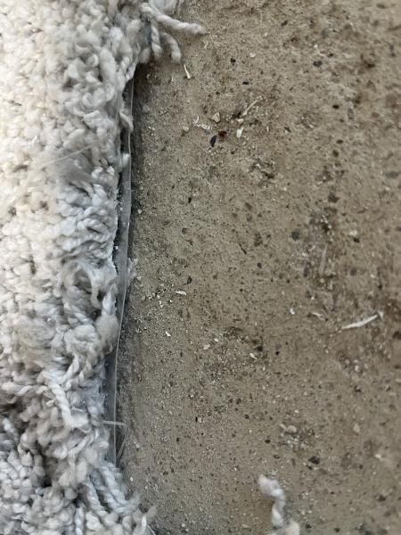 Wilson Carpet Repair