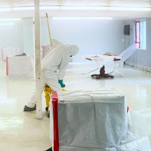 Shankers Mold Remediation