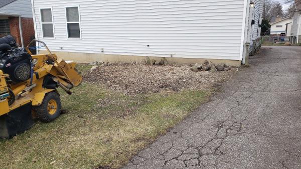 Stevenson's Stump Grinding