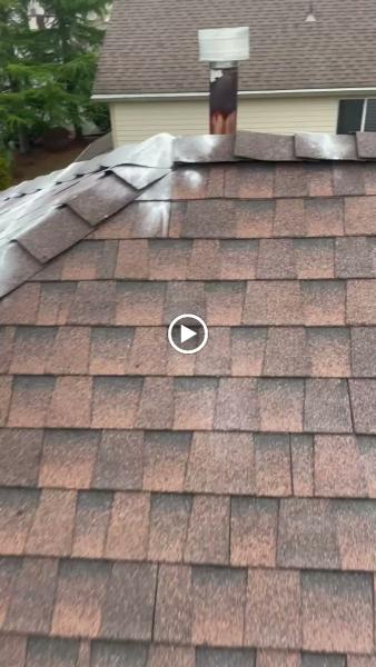 Xzavier's Gutter and Window Cleaning