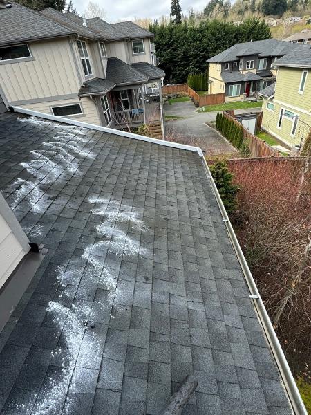 Xzavier's Gutter and Window Cleaning