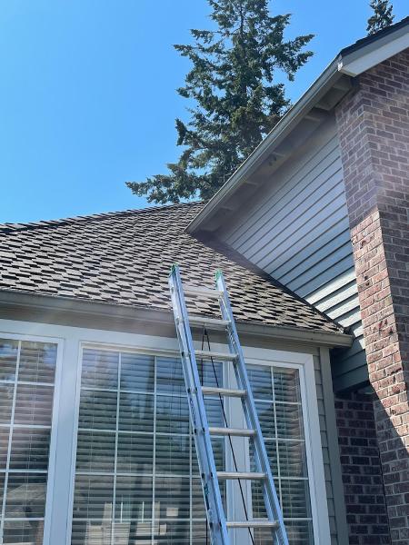 Xzavier's Gutter and Window Cleaning