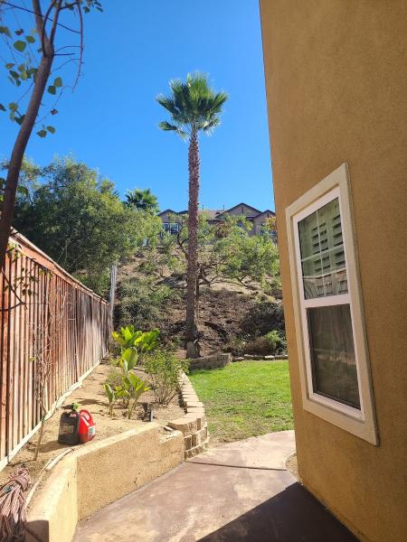 Oceanside Tree Service John Carter