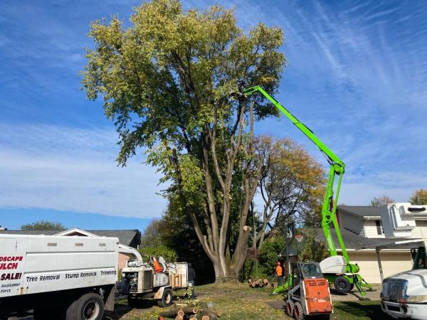 Smetters Tree Service