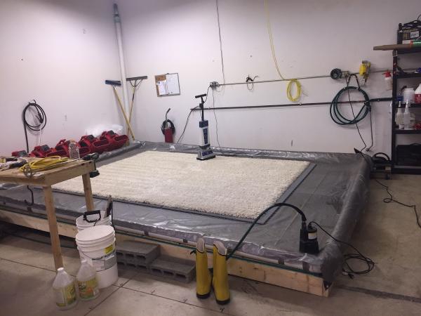 Daves Carpet & Furniture Cleaning