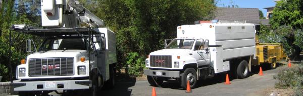 San Diego Tree Care