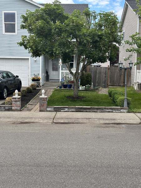 Five Star Tree Service