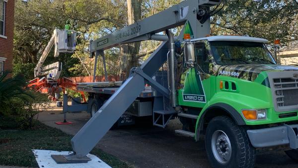 A Perfect Cut Tree Service
