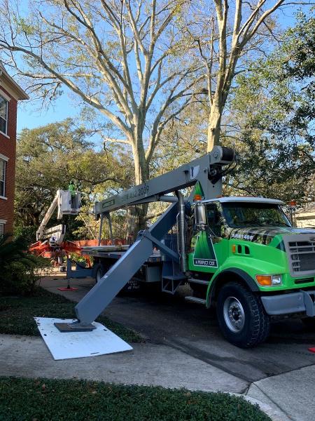 A Perfect Cut Tree Service