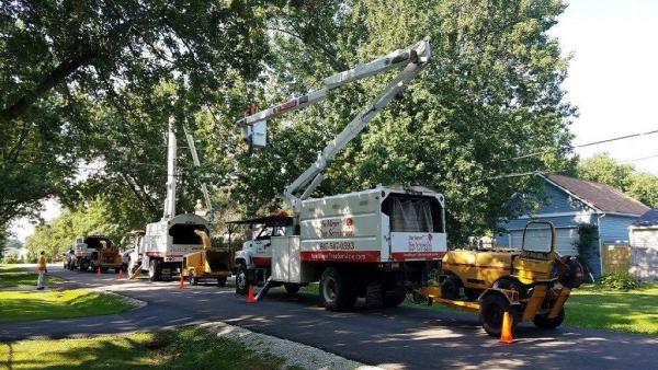Joe Meyer Tree Service Inc