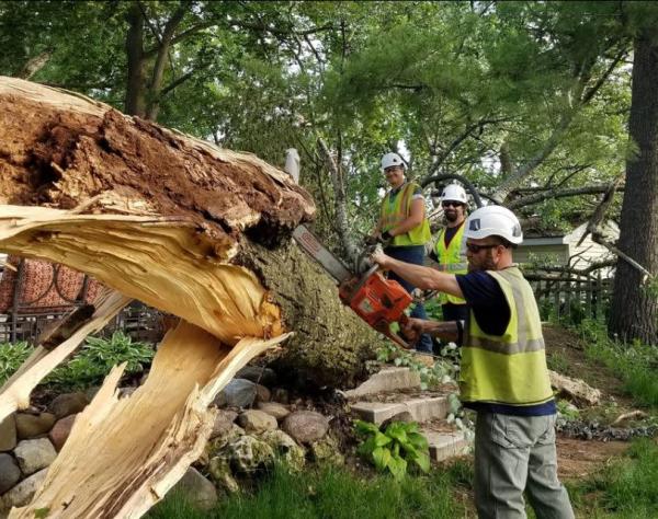 Joe Meyer Tree Service Inc