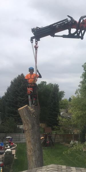 Arborist Prime LLC