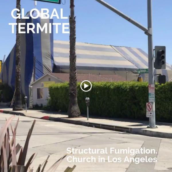 Global Termite Solutions