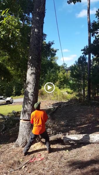 4 Seasons Landscaping & Construction
