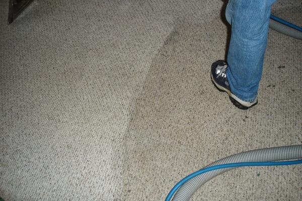 BMF Carpet Cleaning