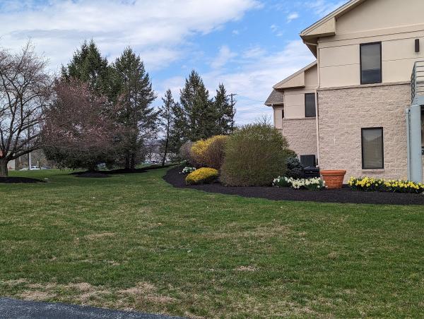 Earthworkers Landscaping
