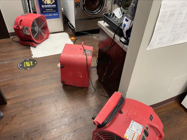 Mr. Restore