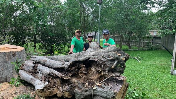Perez Tree Services