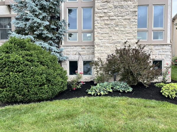 Sunscapes Landscaping