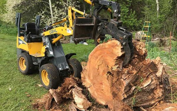 Tarhill Tree Service Fayetteville