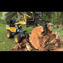Tarhill Tree Service Fayetteville