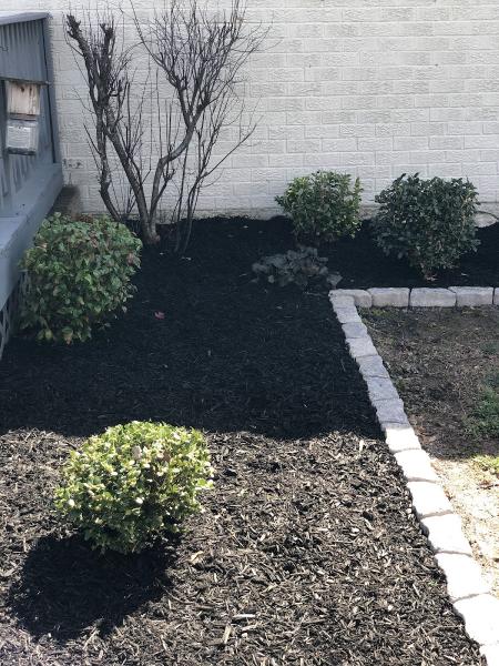 Lawncare Solutions BG