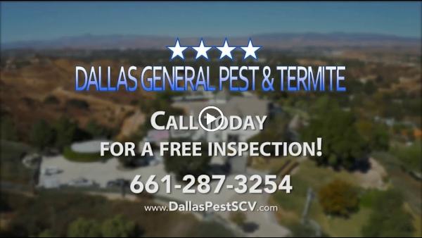 Pest Arrest (Fka Dallas General Pest & Termite Inc)