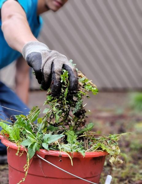 Rimack Lawn Services