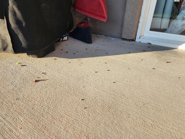 ABC Termite & Pest Control