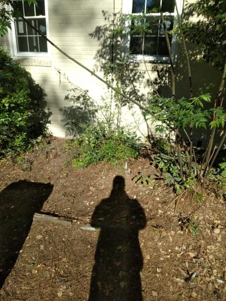 Aaron Guaranteed Construction LLC