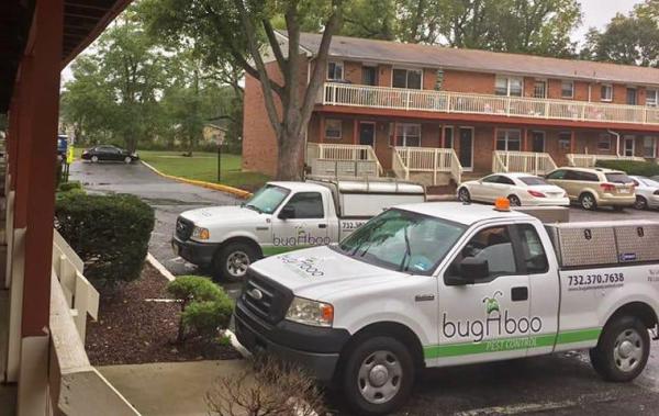 Bugaboo Pest Control