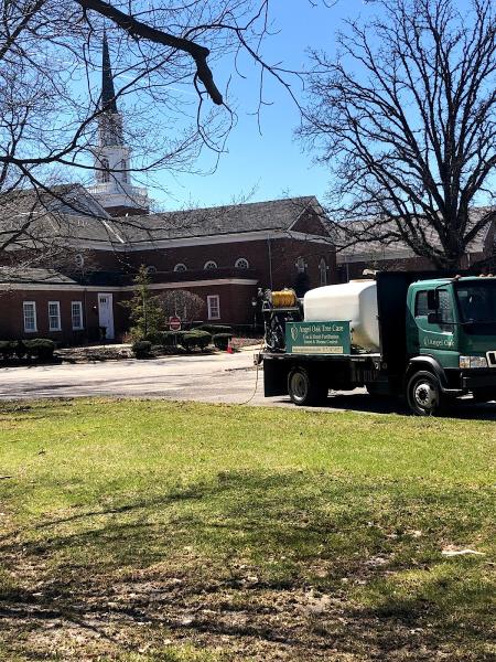 Angel Oak Tree Care Inc