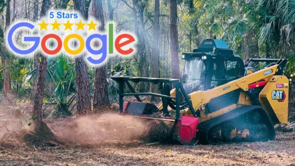 Clear Cut Forestry Mulching & Land Clearing