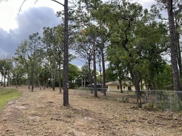 Clear Cut Forestry Mulching & Land Clearing