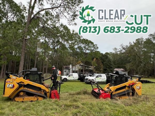Clear Cut Forestry Mulching & Land Clearing