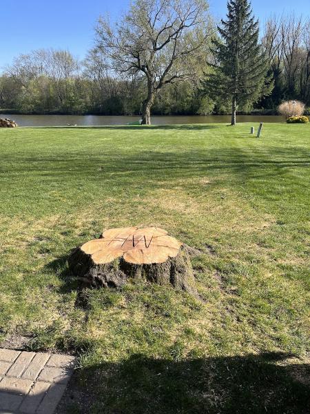 Log Masters Tree Service