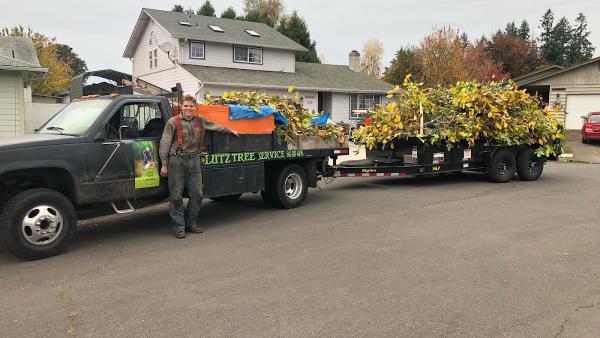 Lutz Tree Service