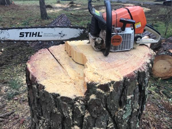 Full Tree Service
