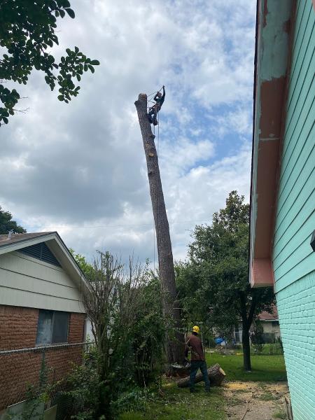 Full Tree Service