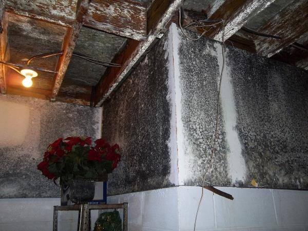 Gulf Coast Center For Indoor Air Quality Servies LLC
