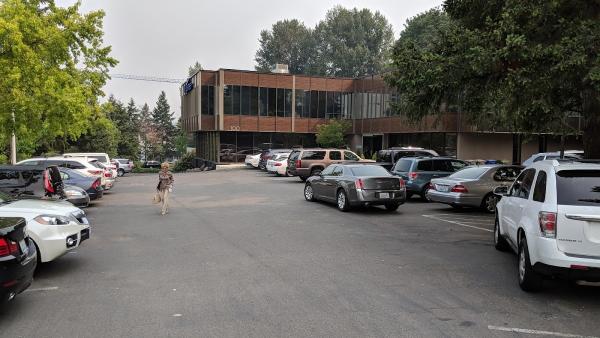 Windermere Real Estate: Bellevue Commons