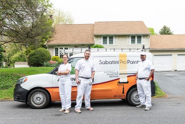 Sabatini Pro Painting
