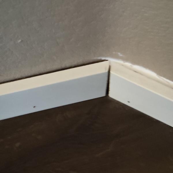 Carpet Contractors