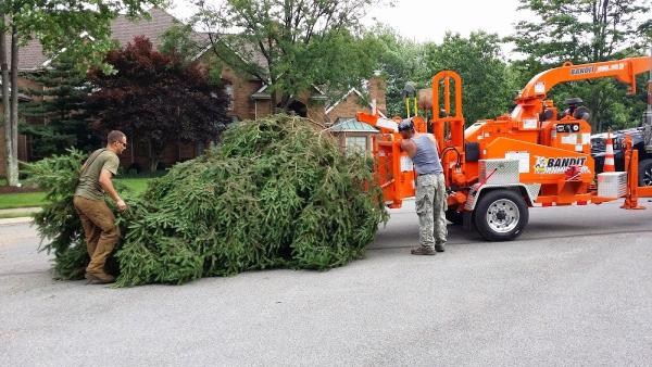Pusateri Brothers Tree & Landscaping Service