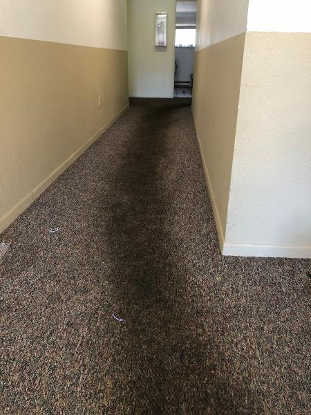 Crystal Clean Carpet Care