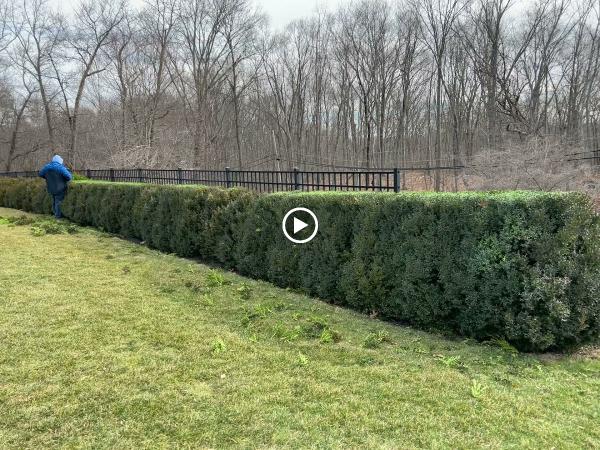 Lugo Landscaping