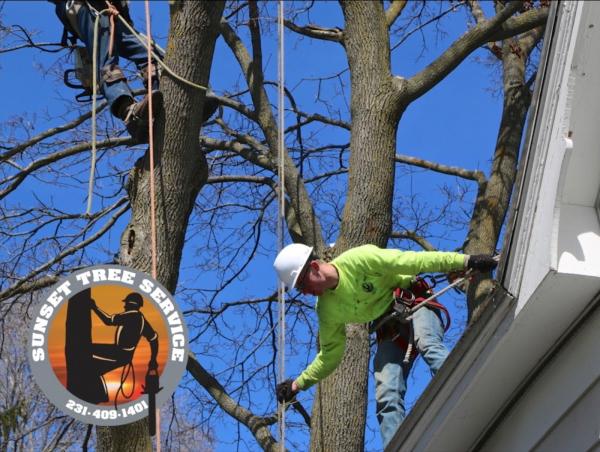 Sunset Tree Service