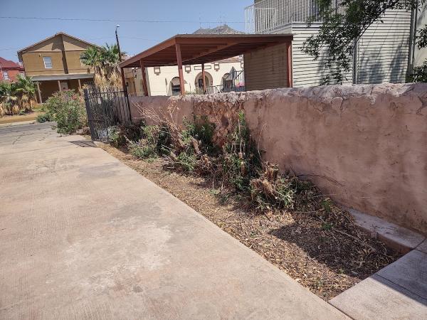 Dumpster Daddy Junk Removal